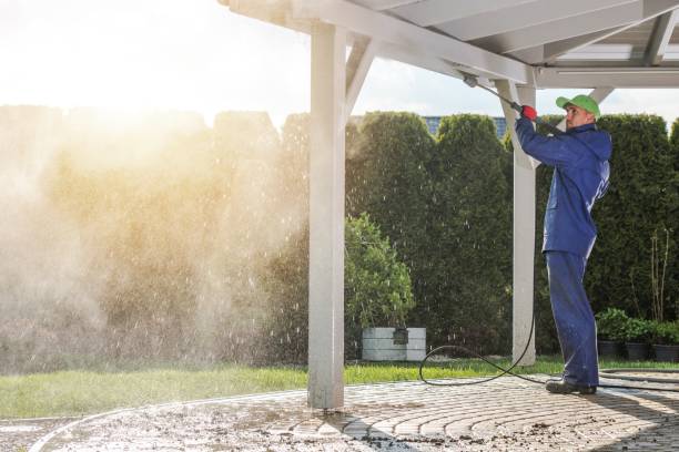 Best Roof Washing  in Ladoga, IN